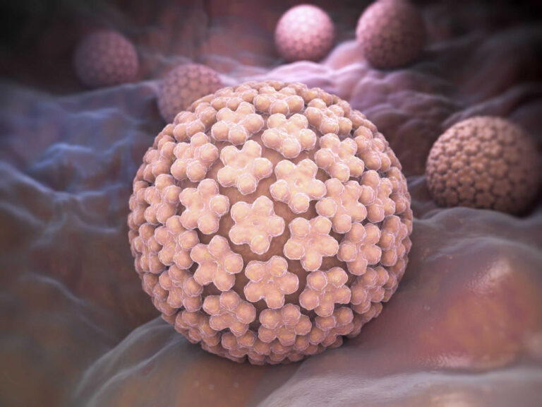 Papillomavirus nədir?
