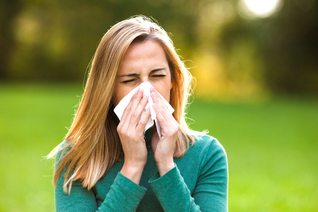 Allergik dermatit
